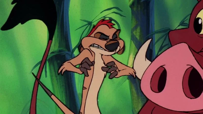 Кадры из мультсериала Тимон и Пумба (1995)